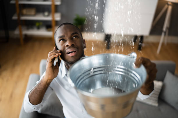 Best Emergency water damage restoration  in Springfield, NE