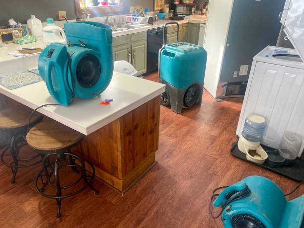 Best Water damage contractors near me  in Springfield, NE