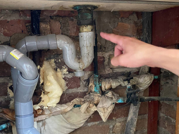 Best Residential water damage restoration  in Springfield, NE