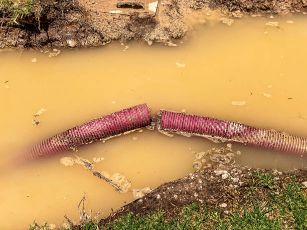 Best Flood damage cleanup  in Springfield, NE