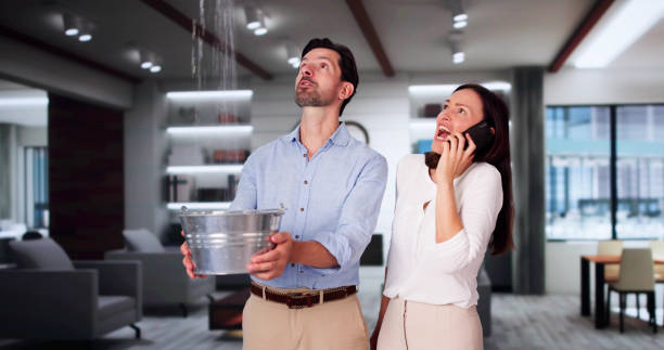 Best Water damage cleanup near me  in Springfield, NE